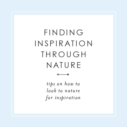 Finding Inspiration Through Nature