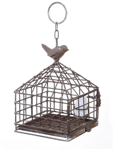 metal birdcage and feeder