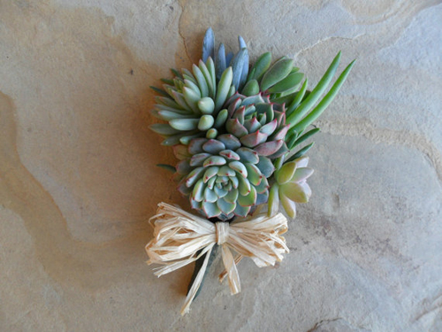 succulent corsage