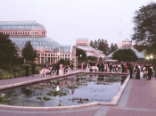 The Palm House - Brooklyn