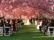 The Palm House - Brooklyn