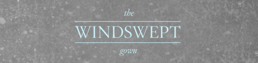 The WIndswept Gown Header - BHLDN