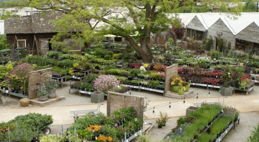 Terrain - Glen Mills, PA