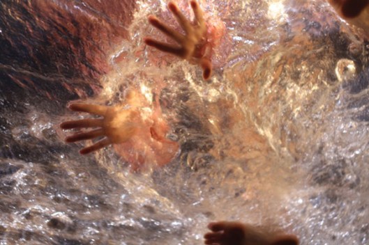 Photography 101: Basic Elements - Copyright 2012 Melissa O'Connor Photography 101: Basic Elements - Copyright 2012 Melissa O'Connor