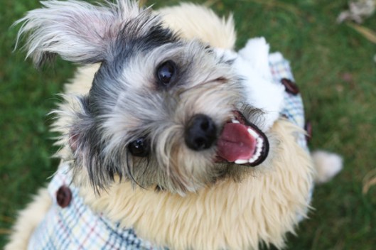 Photography 101: Basic Elements - Copyright 2012 Melissa O'Connor Photography 101: Basic Elements - Copyright 2012 Melissa O'Connor