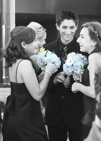 Photography 101: Basic Elements - Copyright 2012 Melissa O'Connor Photography 101: Basic Elements - Copyright 2012 Melissa O'Connor