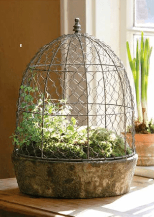 Shop of the Month: Chez Renee