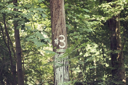 Historic Series: The Karpen House - Copyright 2012 Melissa O'Connor