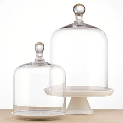 Shop of the Month: World Market - Glass Cloche