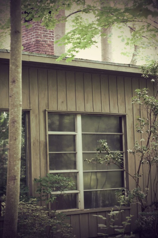 Historic Series: The Karpen House - Copyright 2012 Melissa O'Connor