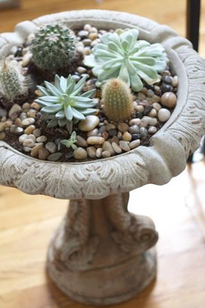 Birdbath Garden - Copyright 2012 Melissa O'Connor