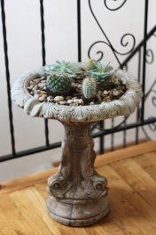 Birdbath Garden - Copyright 2012 Melissa O'Connor