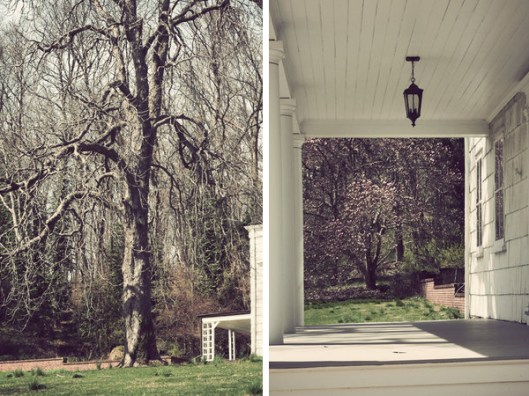 Historic Series: The Joseph Lloyd Manor - Copyright 2012 Melissa O'Connor