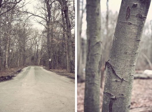 Historic Series: Mount Misery - Copyright 2012 Melissa O'Connor