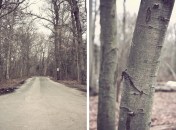 Historic Series: Mount Misery - Copyright 2012 Melissa O'Connor