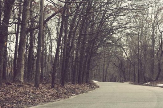 Historic Series: Mount Misery - Copyright 2012 Melissa O'Connor