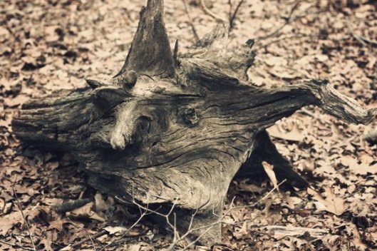 Historic Series: Mount Misery - Copyright 2012 Melissa O'Connor