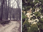 Historic Series: Mount Misery - Copyright 2012 Melissa O'Connor