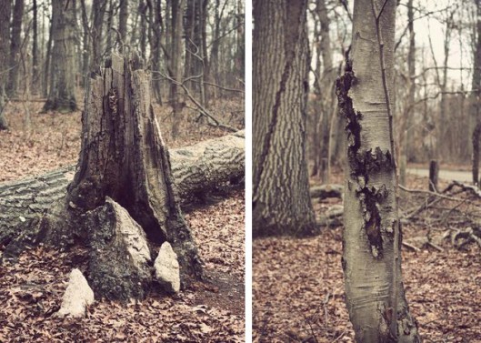 Historic Series: Mount Misery - Copyright 2012 Melissa O'Connor