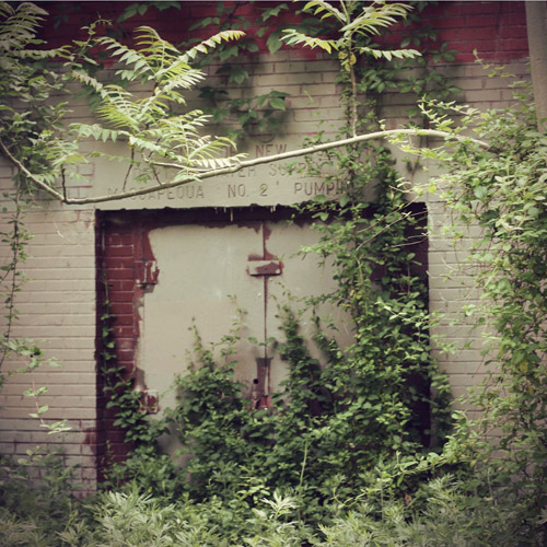 Inspiration Photo Friday: Overgrowth - Copyright 2012 Melissa O'Connor
