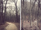 Historic Series: Mount Misery - Copyright 2012 Melissa O'Connor