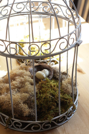 Make Your Space Birdcage Beautiful