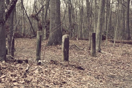 Historic Series: Mount Misery - Copyright 2012 Melissa O'Connor