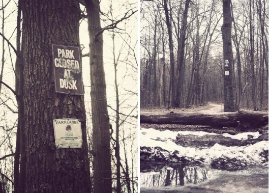 Historic Series: Mount Misery - Copyright 2012 Melissa O'Connor