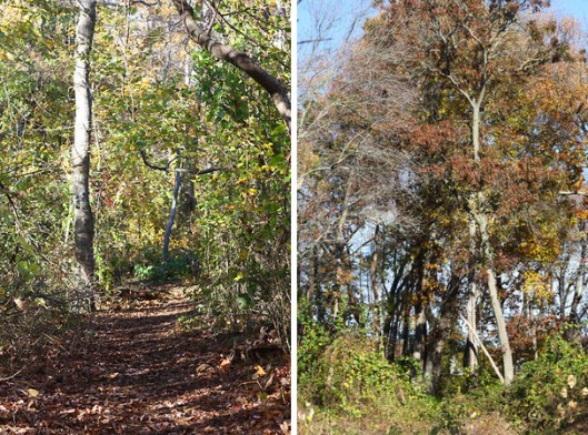 HIstoric Series: Takapausha Preserve - Copyright 2012 Melissa O'Connor-Arena