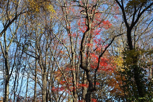 HIstoric Series: Takapausha Preserve - Copyright 2012 Melissa O'Connor-Arena