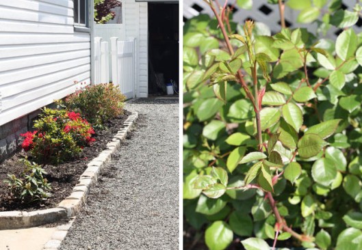 Historic Series: A Hidden Gem - Copyright 2012 Melissa O'Connor