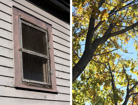 Historic Series: Seaford Historical Museum - Copyright 2012 Melissa O'Connor