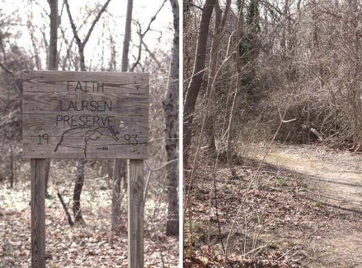 Historic Series: The Meroke Preserve - Copyright 2012 Melissa O'Connor