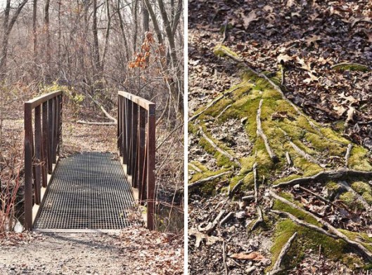 Historic Series: The Meroke Preserve - Copyright 2012 Melissa O'Connor