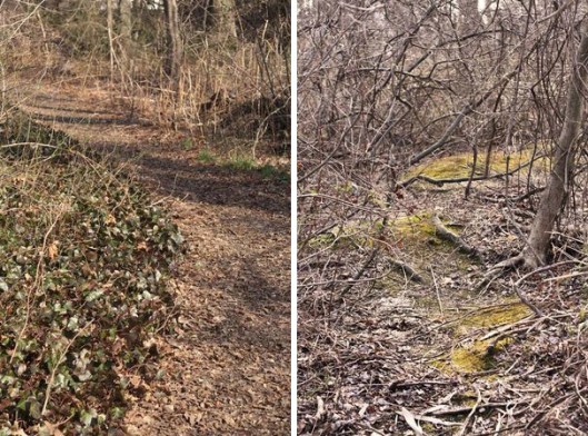 Historic Series: The Meroke Preserve - Copyright 2012 Melissa O'Connor