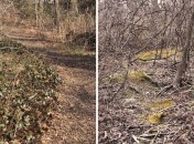 Historic Series: The Meroke Preserve - Copyright 2012 Melissa O'Connor