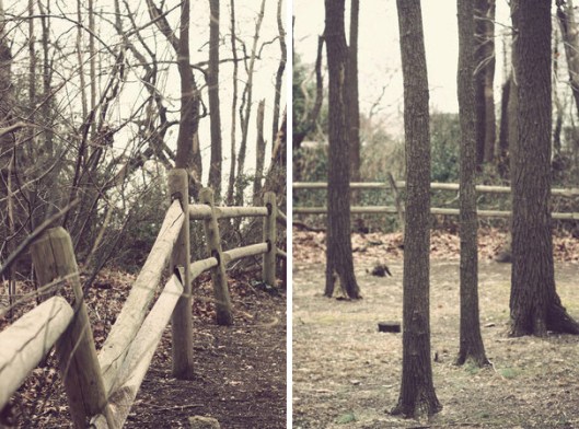 Historic Series: Baldwin - Southard Cemetery - Copyright 2012 Melissa O'Connor