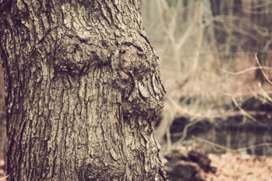 Historic Series: Baldwin - Southard Cemetery - Copyright 2012 Melissa O'Connor