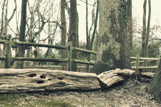 Historic Series: Baldwin - Southard Cemetery - Copyright 2012 Melissa O'Connor