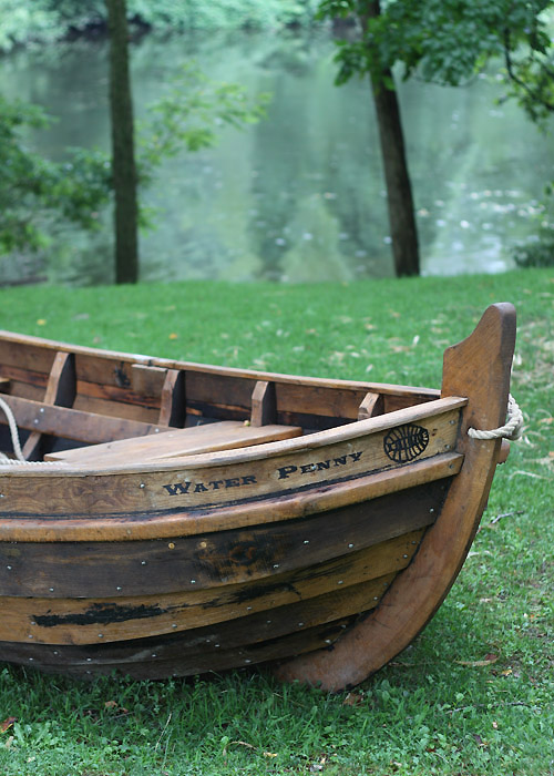 Inspiration Photo Friday: Water Penny - Copyright 2012 Melissa O'Connor