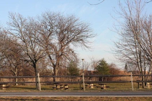 Historic Series: Wantagh Park - Copyright 2012 Melissa O'Connor