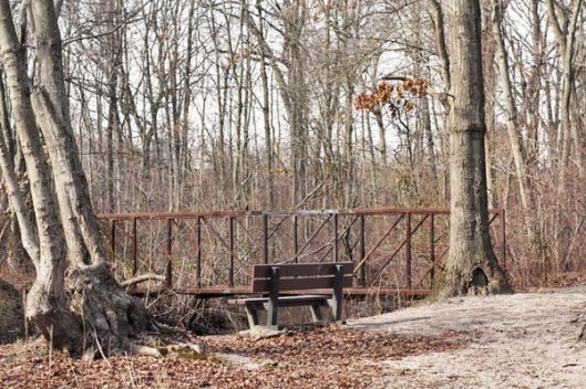 Historic Series: The Meroke Preserve - Copyright 2012 Melissa O'Connor