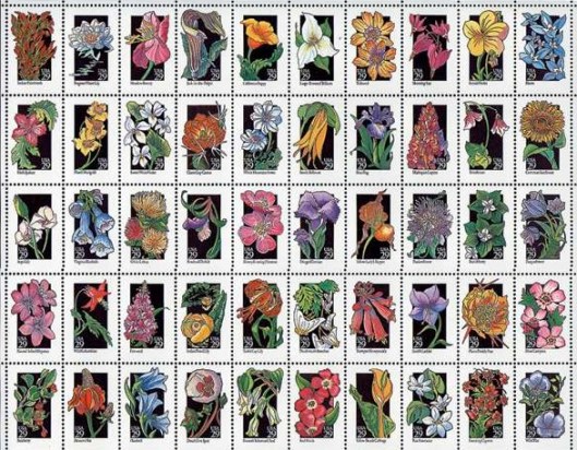 Snail Mail Inspiration