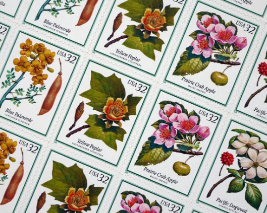 Snail Mail Inspiration