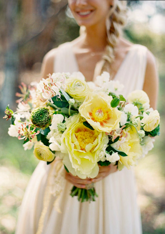 Festival Favorites from Mag Rouge Festival Favorites from Mag Rouge