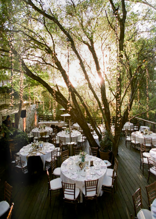 Festival Favorites from Mag Rouge Festival Favorites from Mag Rouge