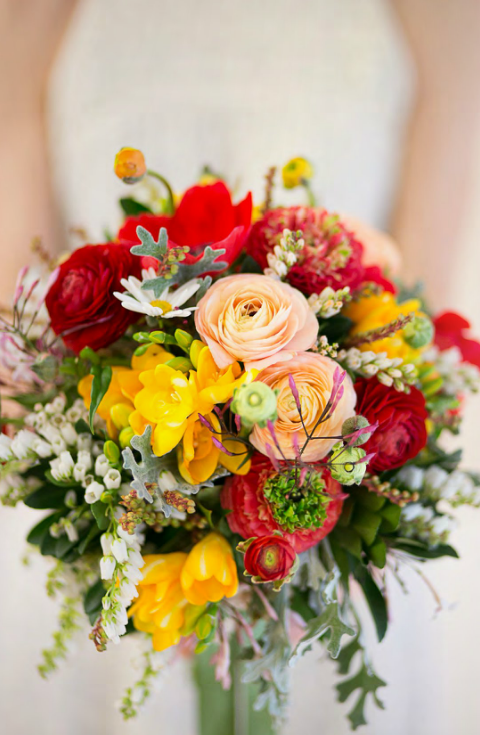 Festival Favorites from Mag Rouge Festival Favorites from Mag Rouge