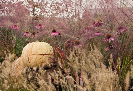 Fall Harvest Flavor at Terrain