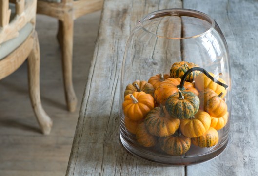 Fall Harvest Flavor at Terrain