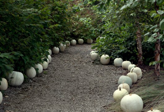 Fall Harvest Flavor at Terrain